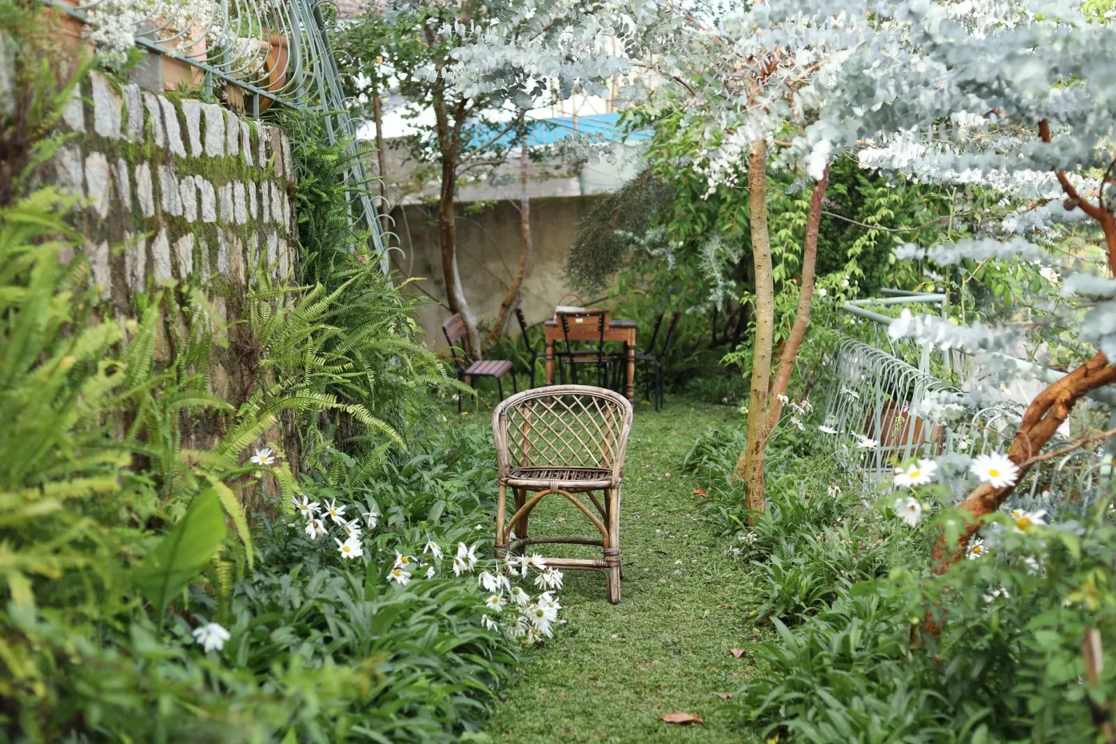 Quintal sombreado com cadeira de vime